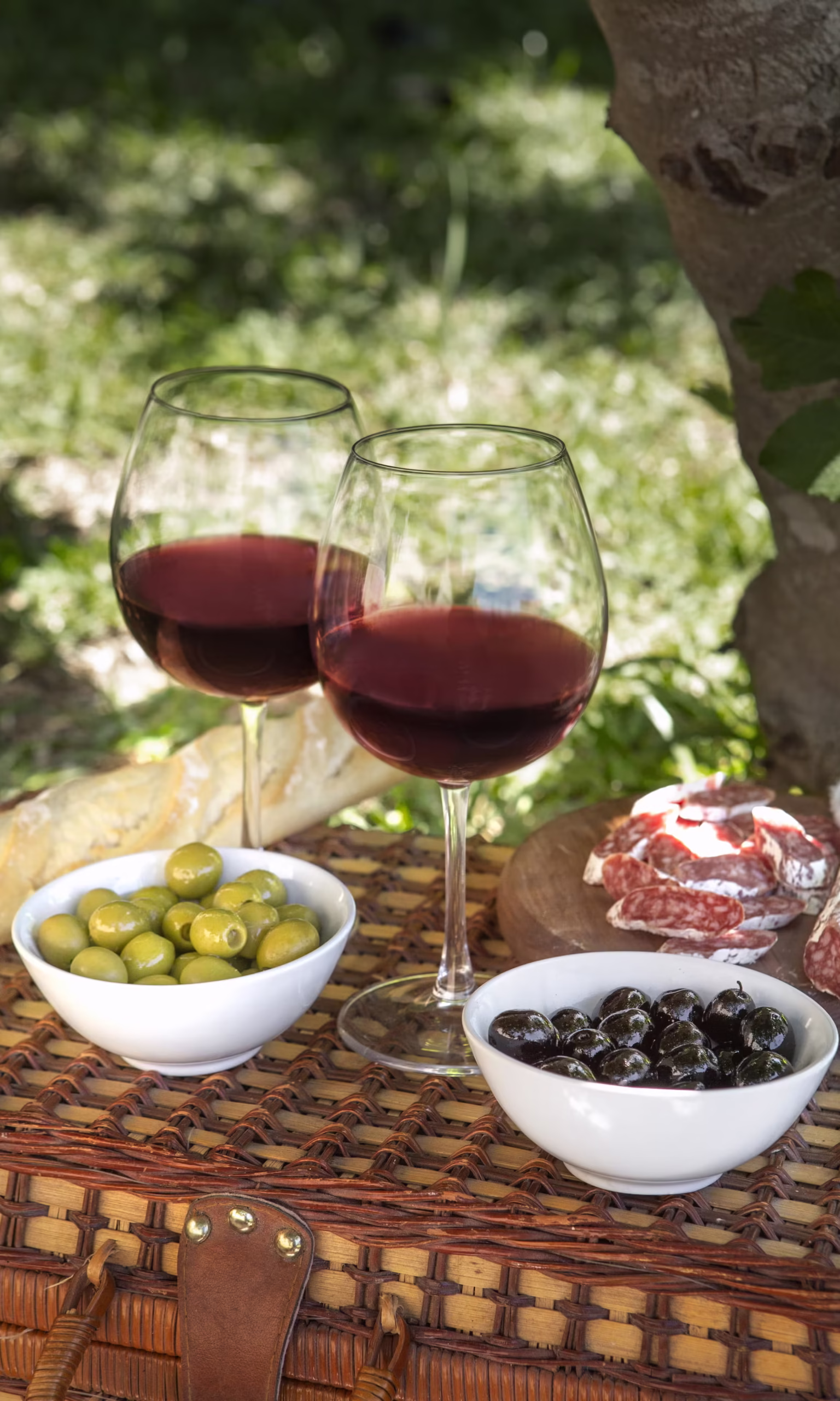 delicious-picnic-still-life_converted